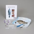 Perch Anatomy Kit with Dissecting Set