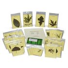 Leaf Identification Kit