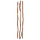 Carolina's Perfect Solution&reg; Preserved Earthworms