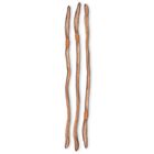 Perfect Solution Earthworms Plain Tube Of 10