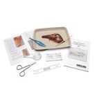 Young Scientists Crayfish Dissection Kit