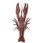 Carolina's Perfect Solution&reg; Crayfish, 4"+, Plain, Pail of 10