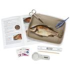 Carolina's Young Scientist&trade; Perch Dissection Kit