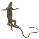 Carolina's Perfect Solution&reg; Preserved Iguana