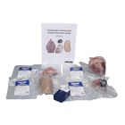 Comparative Mammalian Organ Dissection Kit