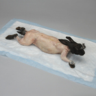 Carolina's Perfect Solution&reg; Preserved Skinned Rabbits, Mature, 1 Per Bag
