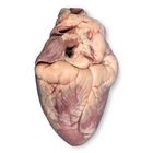 Carolina's Perfect Solution&reg; Preserved Pig Hearts, Plain