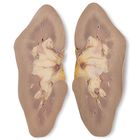 Carolina's Perfect Solution&reg; Preserved Pig Kidneys