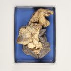 Formalin Preserved Sheep Plucks, Plain
