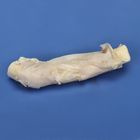 Cow Spinal Cord, 4" Portion, Pail