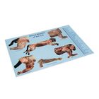 Carolina&reg; Muscles of the Cat Dissection Mat