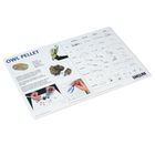 Owl Pellet Dissection Mat