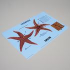 Starfish Dissection Mat