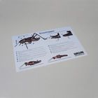 Grasshopper Dissection Mat