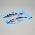 Perch Dissection Mat