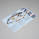 Carolina&reg; Dogfish Dissection Mat