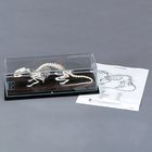 Rat Skeleton, Articulated