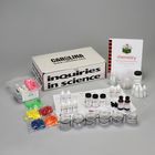 Inquiries In Science Balancing Chemical Equations Kit