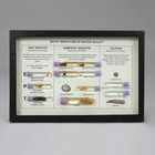 Biotic Indicators of Water Quality, Biorama&trade; Preparation