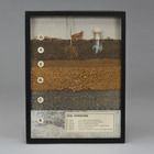 Soil Horizons, Biorama&trade; Preparation