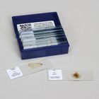 Around The Yard Microscope Slide Set