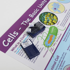 Cells Units Of Life Slide And Poster Set