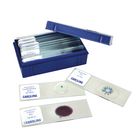 Beginner's Fungi Microscope Slide Set