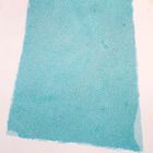 Ulva w.m. Microscope Slide