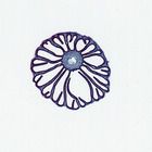 Coprinus Mushroom Microscope Slides