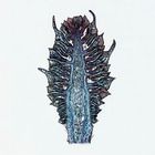 Pine Ovulate Cone Microscope Slides, l.s., 12 µm 