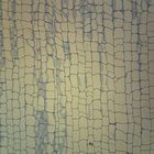 Parenchyma Tissue, sec., 12 &#181;m Microscope Slide