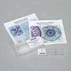 Monocot And Dicot Root Self Study Microscope Slide Unit