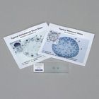 Discovering Monocot and Dicot Stems Self-Study Unit, Microscope Slide Set
