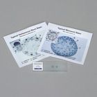 Monocot And Dicot Stem Self Study Microscope Slide Unit