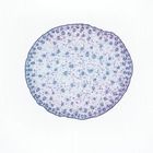 Corn Stem Microscope Slides, Monocot