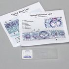 Monocot And Dicot Leaf Self Study Microscope Slide Unit