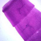 Taenia Pisiformis, Immature, w.m., Microscope Slide