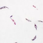 Rotifers, w.m. (wholemount) Microscope Slide