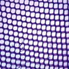 Cornea, w.m., Microscope Slide