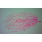 Down Feather, w.m. Microscope Slide