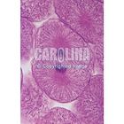 Fish and Onion Mitosis Microscope Slide and Study Guide Set