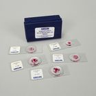 Beginner's Chick Whole Mount Microscope Slide Set