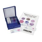 Beginners Human Tissue Microscope Slide Set