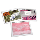 Discovering Connective Tissue Self-Study Unit