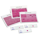 Muscle Types Microscope Slide Set