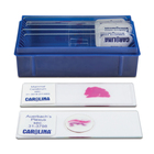 Nerve Tissue Types Microscope Slide Set