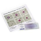 Discovering Human Blood Self-Study Unit, Microscope Slide Set