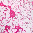 Human Lung Slide, 7 &#181;m, H&E