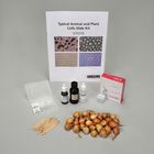 Typical Animal and Plant Cells Slide Kit