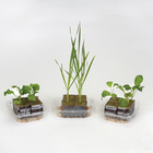 Hydroponics and Sustainability 